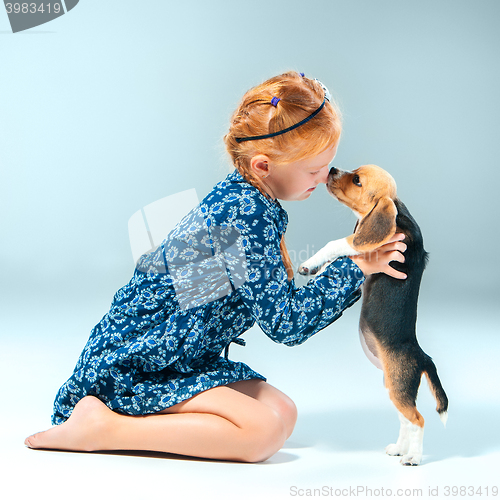 Image of The happy girl and a beagle puppie on gray background