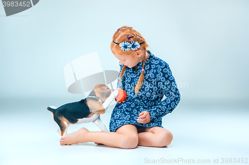 Image of The happy girl and a beagle puppie on gray background