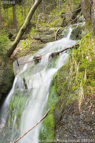 Image of Stream in the Green