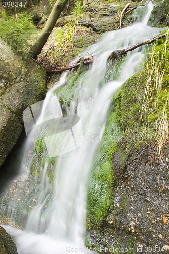 Image of Stream in the Green