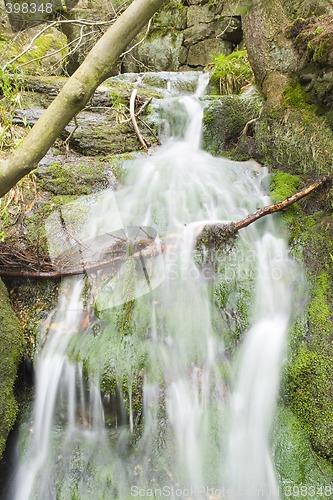 Image of Stream in the Green