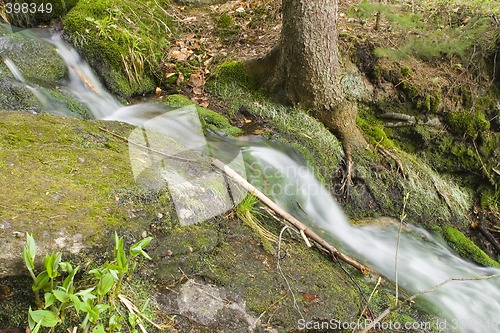 Image of Stream in the Green