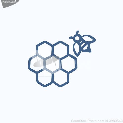 Image of Honeycomb and bee sketch icon.