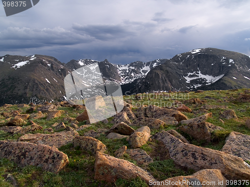 Image of Alpine Tundra