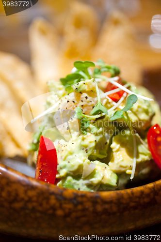 Image of avocado and shrimps salad 