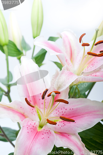 Image of pink lily flower bouquet