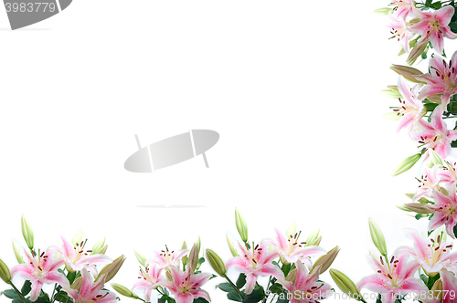 Image of lily flowers composition frame