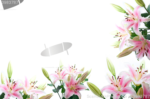 Image of lily flowers composition frame
