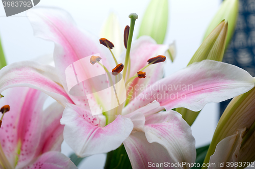 Image of pink lily flower bouquet