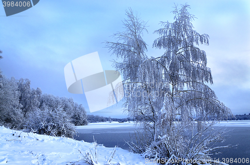 Image of Winter landscape with trees, covered with hoarfrost and lake vie