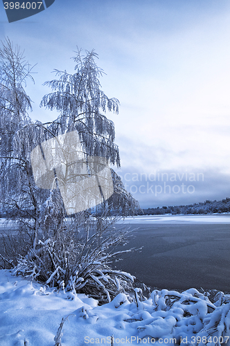 Image of Winter landscape with trees, covered with hoarfrost and lake 