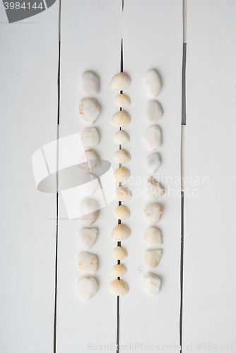 Image of beach accessories on wooden board