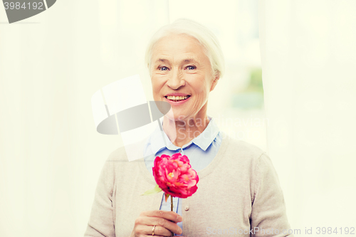 Image of happy smiling senior woman with flower at home