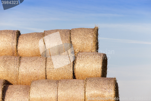 Image of stack of straw in the field