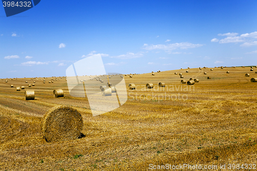Image of haystacks straw, field