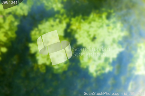 Image of green watermelon, defocus