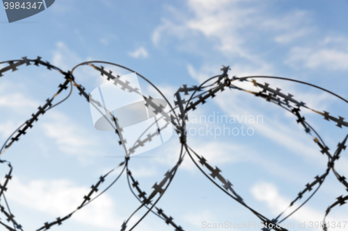 Image of barbed wire, sky