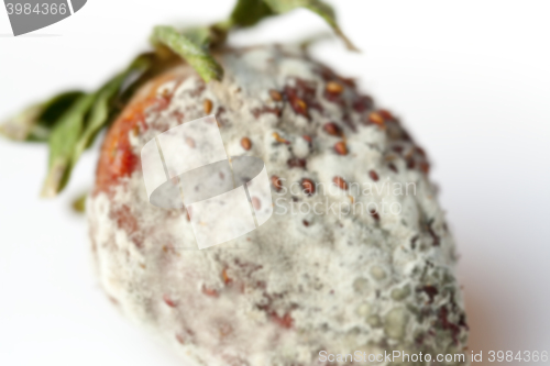 Image of Strawberry with mold