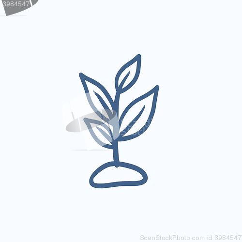 Image of Sprout sketch icon.