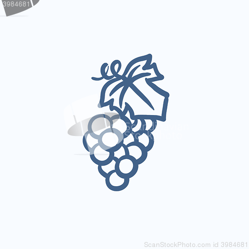 Image of Bunch of grapes sketch icon.