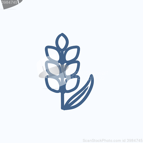 Image of Wheat sketch icon.