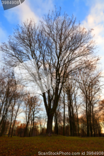 Image of Park at sunset