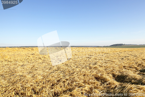 Image of Photo agriculture, Europe