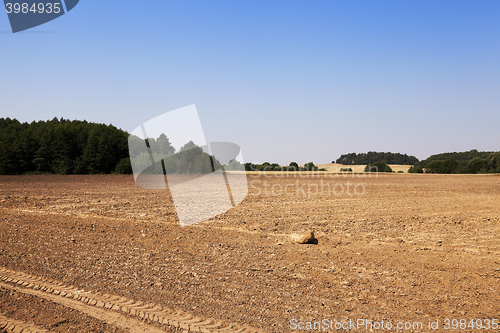 Image of plowed land, summer