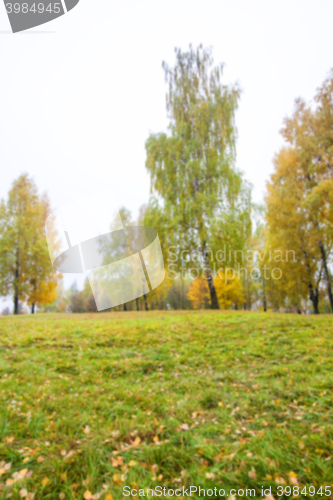 Image of autumn in the park