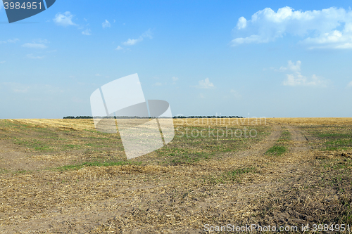 Image of road in a field