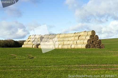 Image of Photo agriculture, Europe