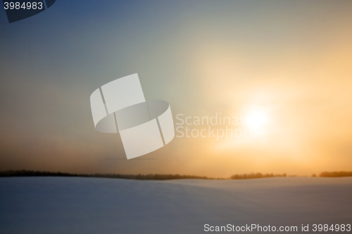 Image of forest in winter, dawn