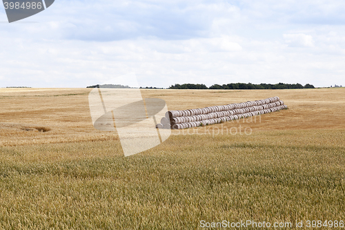 Image of stack of wheat straw