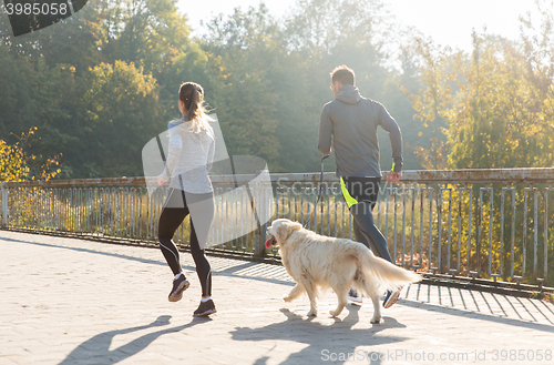 Image of close up of couple with dog running outdoors