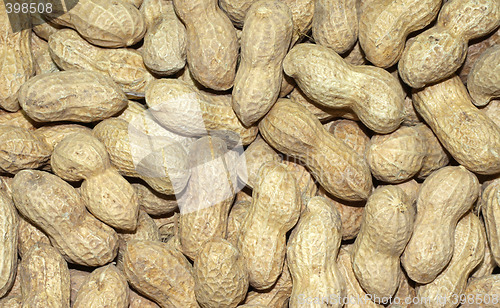 Image of Peanuts