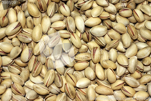 Image of Pistachio