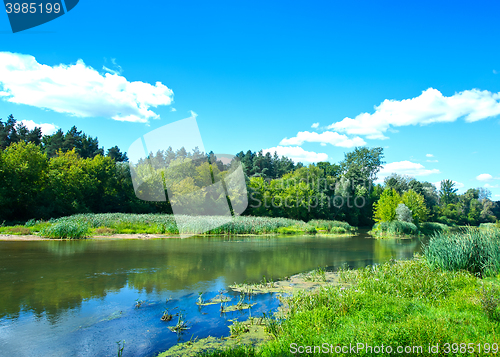 Image of summer lake