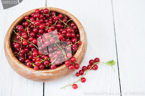 Image of Fresh red currants