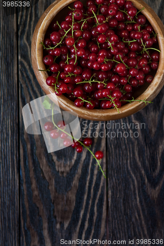 Image of Fresh red currants