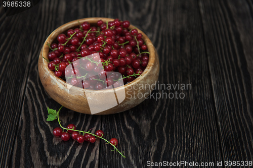 Image of Fresh red currants