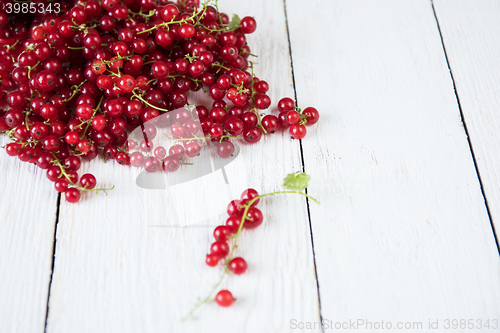 Image of Fresh red currants