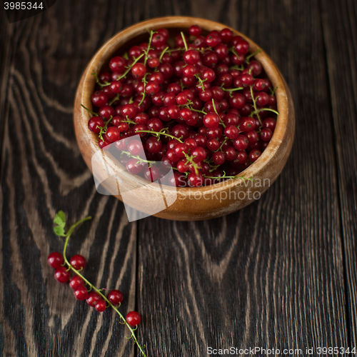 Image of Fresh red currants