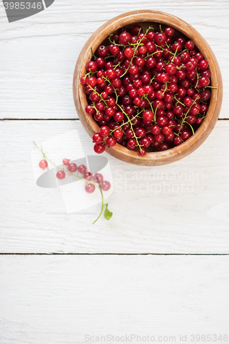 Image of Fresh red currants