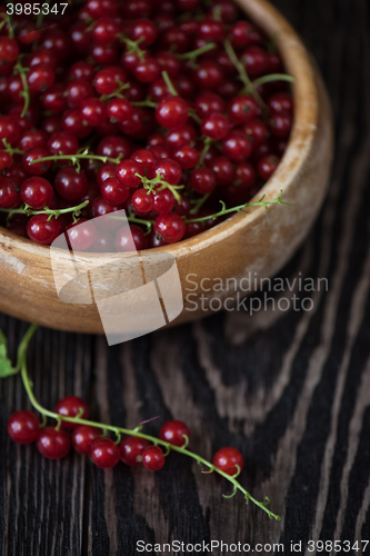 Image of Fresh red currants