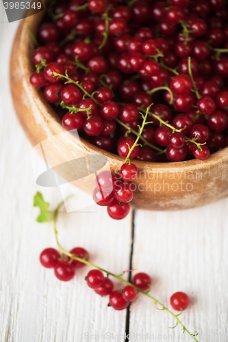 Image of Fresh red currants