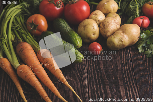 Image of freshly grown raw vegetables