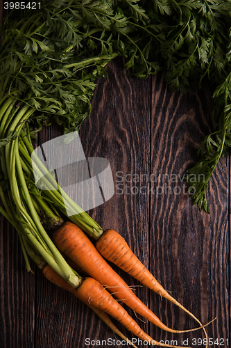 Image of Freshly grown carrots