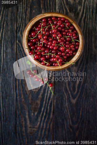 Image of Fresh red currants