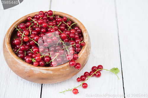 Image of Fresh red currants