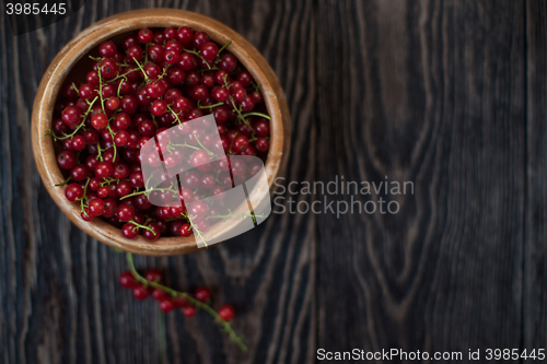 Image of Fresh red currants